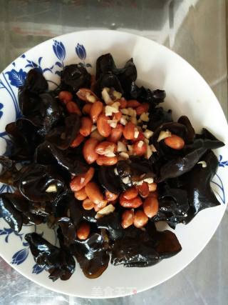 Old Vinegar Fungus recipe