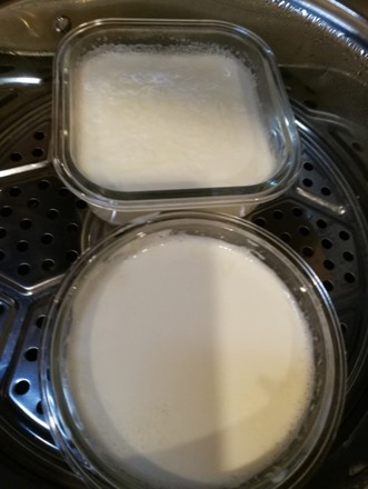 Homemade Yogurt (without Yogurt Machine) recipe