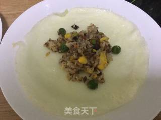 [guangdong] Wrapped Protein Rice recipe