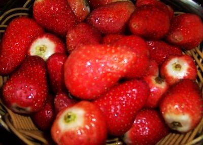 Strawberry Honey Yogurt recipe