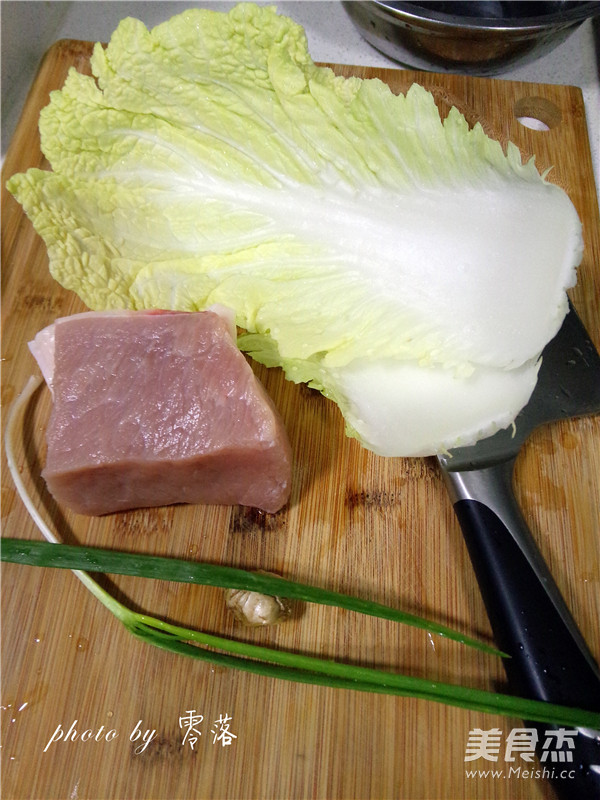 Cabbage Pork Pot Stickers recipe