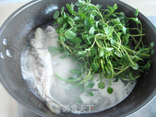 Watercress Fish Soup recipe