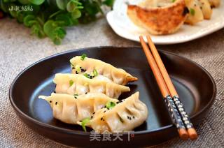 Pork and Cabbage Pot Stickers recipe