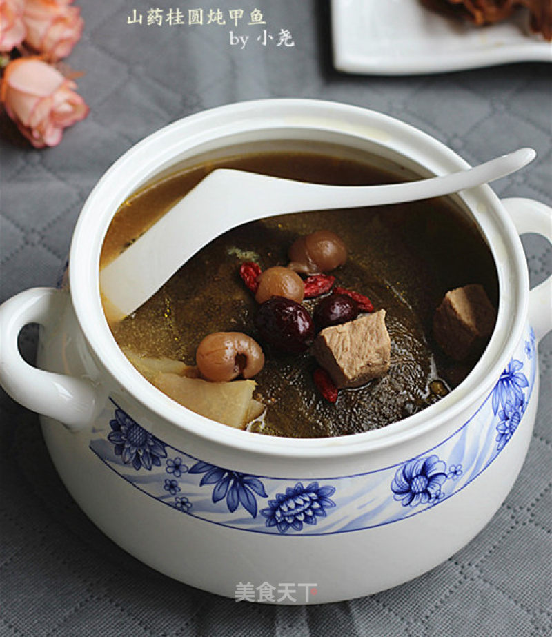 Stewed Turtle with Yam and Longan