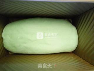 #aca烤明星大赛# Matcha Christmas Tree Toast Cake recipe