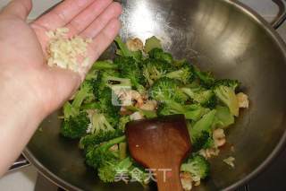 Stir-fried Shrimp with Garlic Broccoli recipe