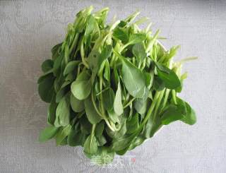 Boiled Radish Seedlings recipe