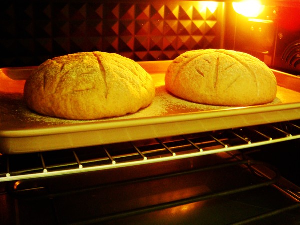 Farmer Slow Rye Soft European Buns recipe