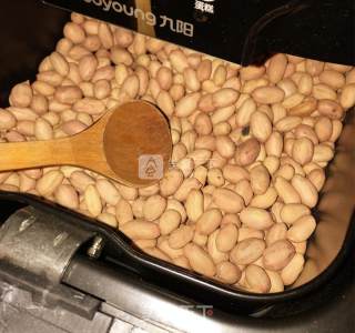 Homemade Spiced Peanuts recipe