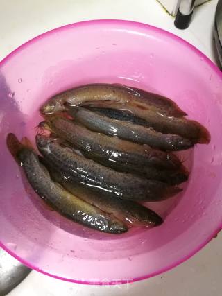 Sound Oil Loach recipe