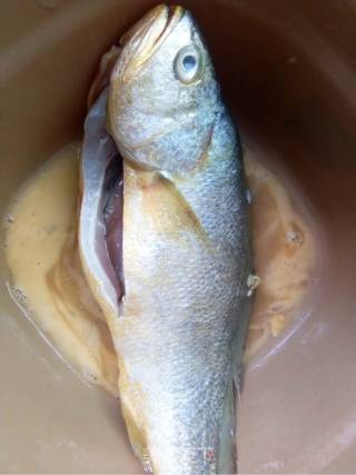 Braised Yellow Croaker recipe