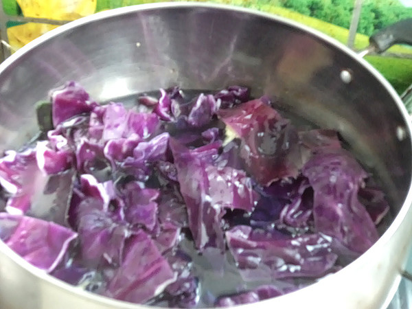 Spicy Purple Cabbage recipe