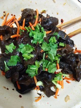 Cold Fungus recipe