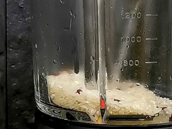 Luohan Congee recipe