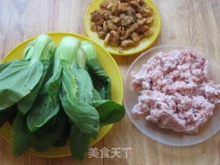 Vegetable Meat Wonton recipe