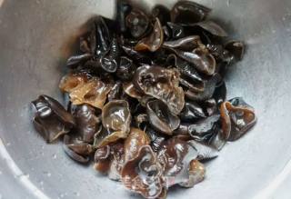 Cold Fungus recipe