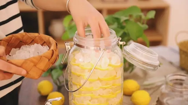 Lemon Vinegar recipe