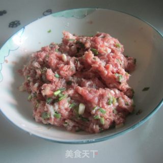 Egg Skin Meat Dumplings recipe