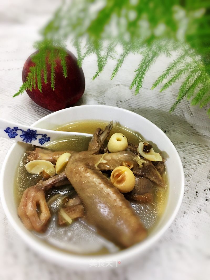 Old Pigeon Mung Bean Soup recipe