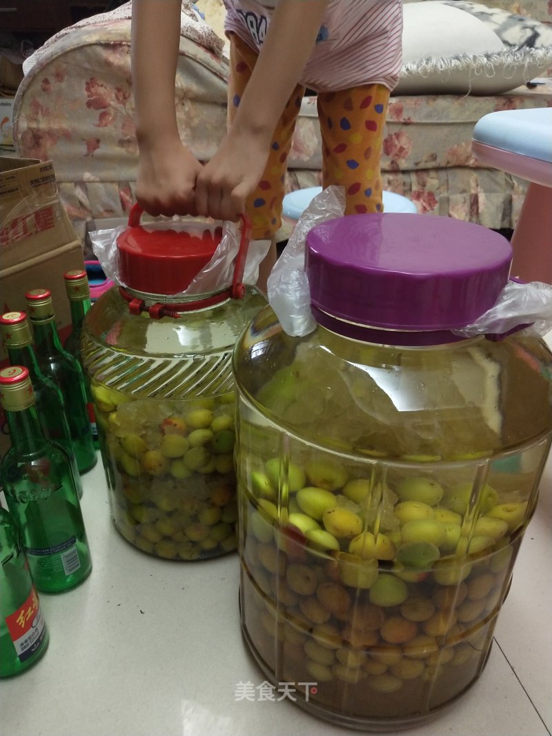 Green Plum Wine recipe