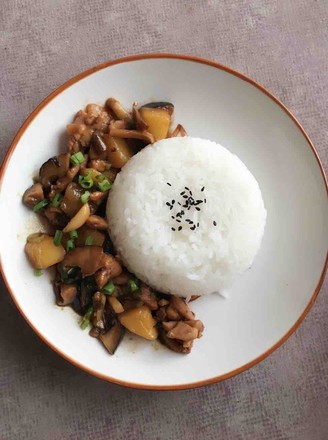 Yellow Braised Chicken Rice recipe
