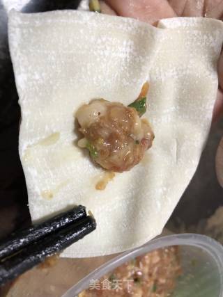 [rabbit Loves Kitchen] Fresh Pork Wonton recipe