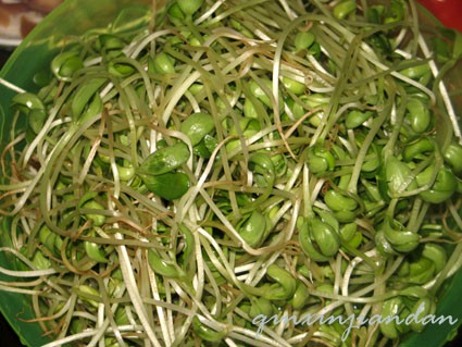 Stir-fried Bacon with Black Bean Sprouts recipe