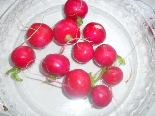Sweet and Sour Cherry Radish recipe