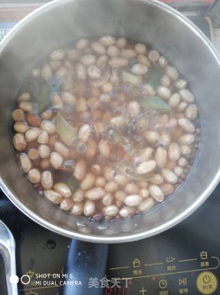 Cold Boiled Peanuts recipe