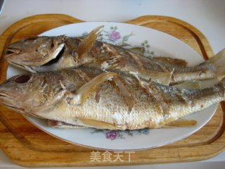 Black Croaker recipe