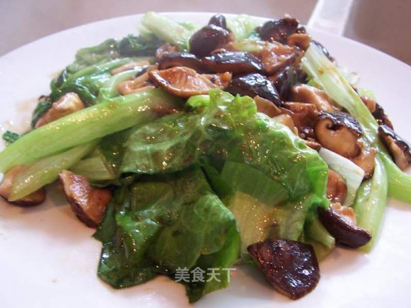 Mushroom Lettuce in Oyster Sauce recipe