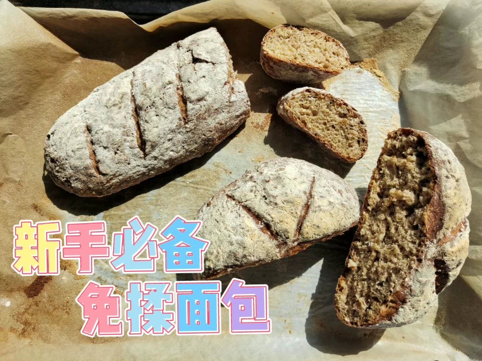 Industrial-style No-knead Bread