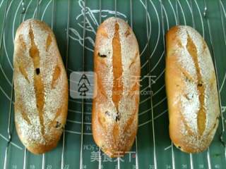 Cranberry Cheese Bun recipe