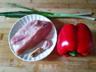 Bell Pepper Shredded Pork recipe