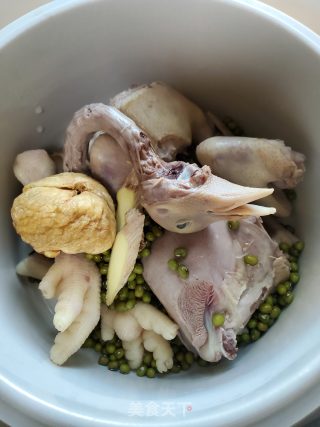 Suckling Pigeon Mung Bean Soup recipe