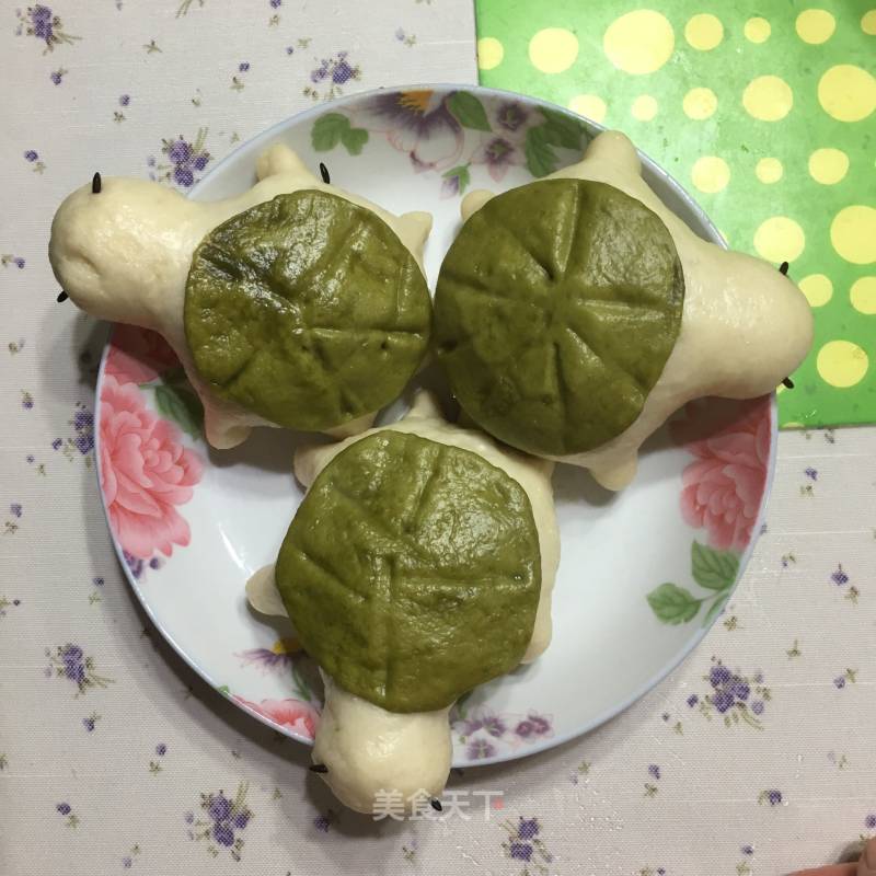 Little Turtle recipe