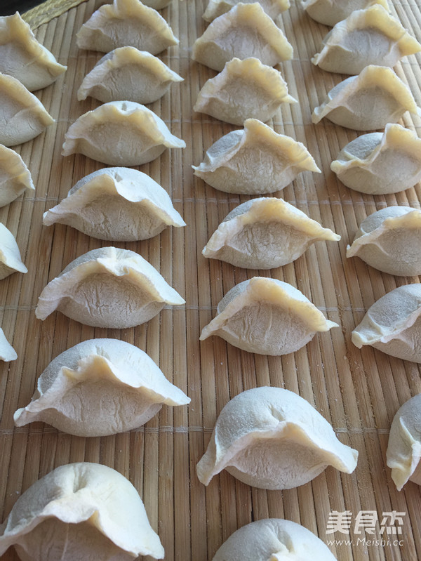 Pork and Cabbage Dumplings recipe