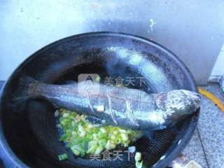 Grilled Rainbow Trout recipe