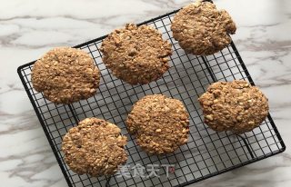 Original | Coffee Cherry Oatmeal Meal Replacement Cookies recipe