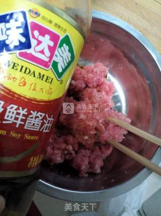 Pork Scallion Wonton recipe