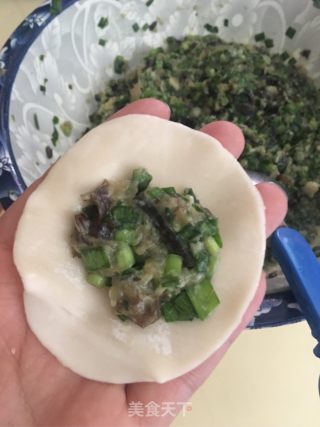 Dumplings with Chinese Chives, Cloud Ears and Meat recipe