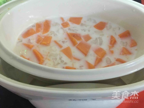 Papaya Milk recipe