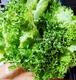 Korean-style Barbecue Lettuce Rolls (refreshing and Not Greasy. So Delicious to Cry) recipe