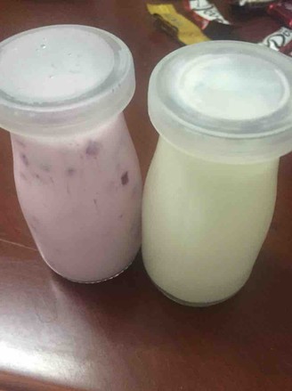 Homemade Yogurt