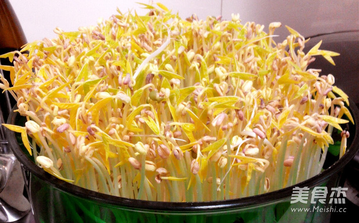 Cold Bean Sprouts recipe