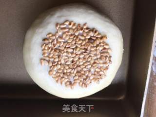 #新良第一session Baking Contest# Wheat Germ Bread recipe