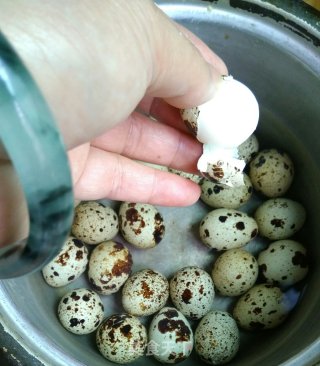 Marinated Quail Eggs recipe