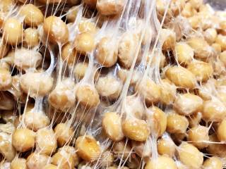 Homemade Natto recipe