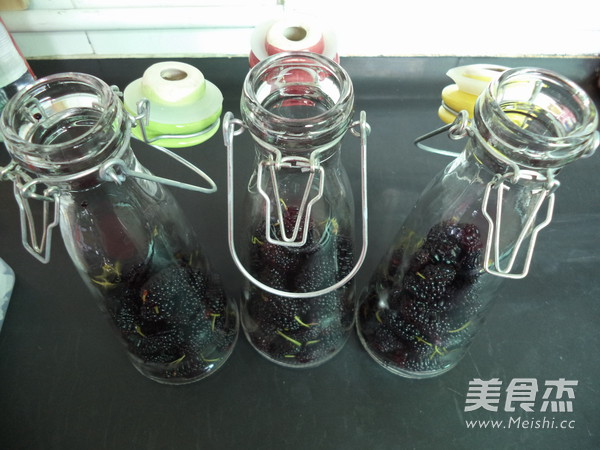 Homemade Mulberry Wine recipe