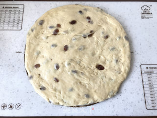 Breadmaker Version of Cuckoo Hof Bread recipe